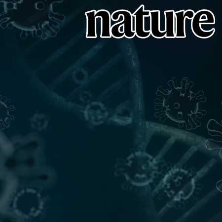Sequence determinant of small RNA production by DICER