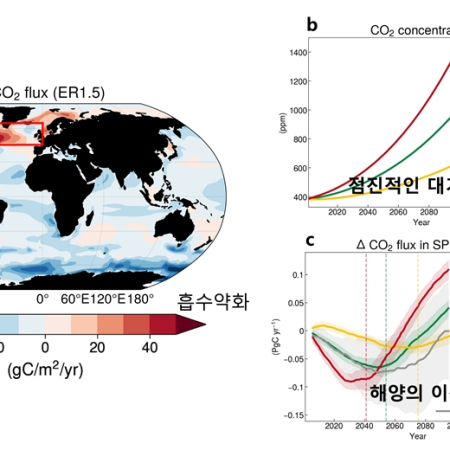 Emergence of an oceanic CO<sub>2</sub> uptake hole under global warming