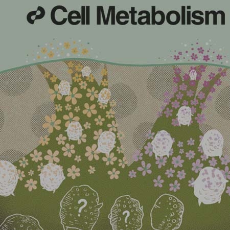 Distinct properties of adipose stem cell subpopulations determine fat depot-specific characteristics