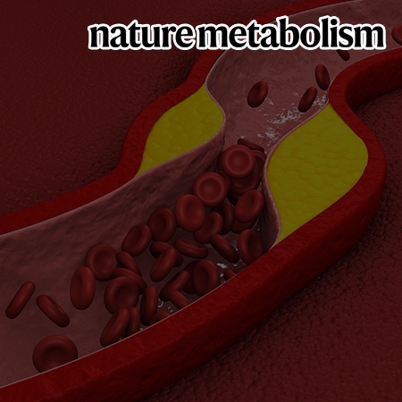 Lysosomal control of senescence and inflammation through cholesterol partitioning
