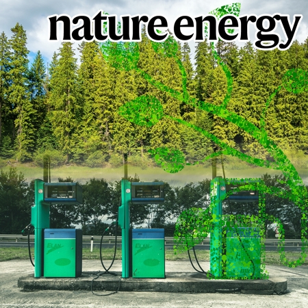 Redox-neutral electrochemical conversion of CO2 to dimethyl carbonate