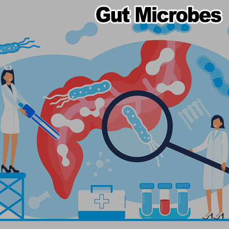 Extracellular vesicles of <i>Limosilactobacillus fermentum</i> SLAM216 ameliorate skin symptoms of atopic dermatitis by regulating gut microbiome on serotonin metabolism