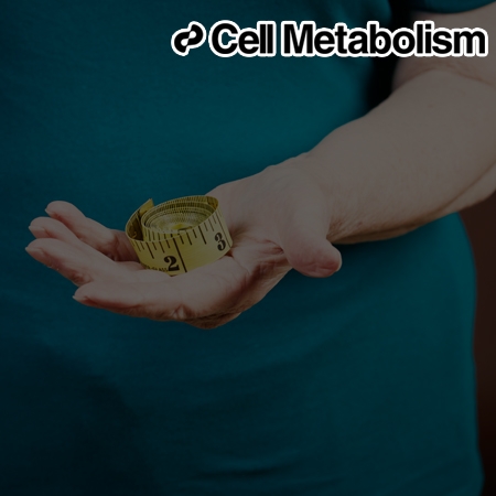 SREBP1c-PARP1 axis tunes anti-senescence activity of adipocytes and ameliorates metabolic imbalance in obesity