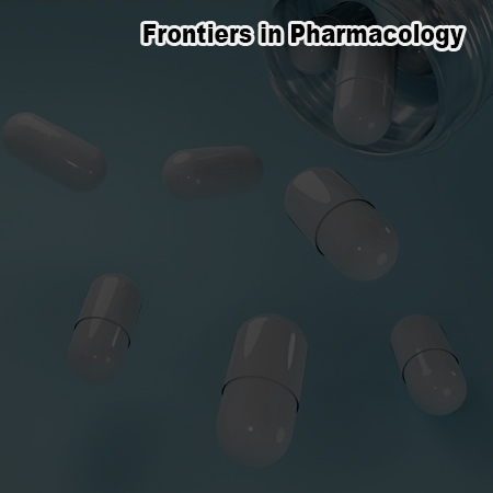 Association between antibiotics and dementia risk: A retrospective cohort study