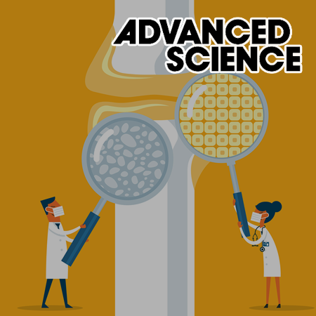 Development of MDM2-Targeting PROTAC for Advancing Bone Regeneration