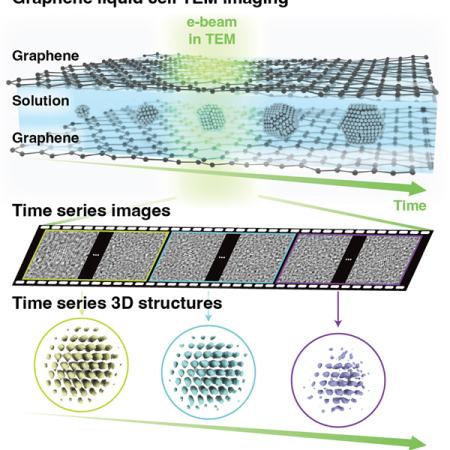 Professor Jungwon Park's Research Team at Seoul National University Develops World’s First Technology to Observe Atomic Structural Changes of Nanoparticles in 3D