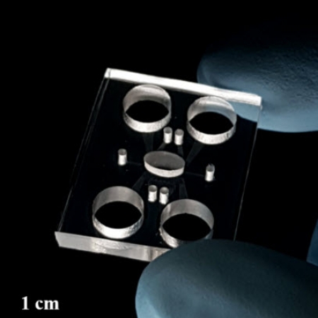 Novel laser-thermal mechanism realizes ultra-fast construction of PDMS devices