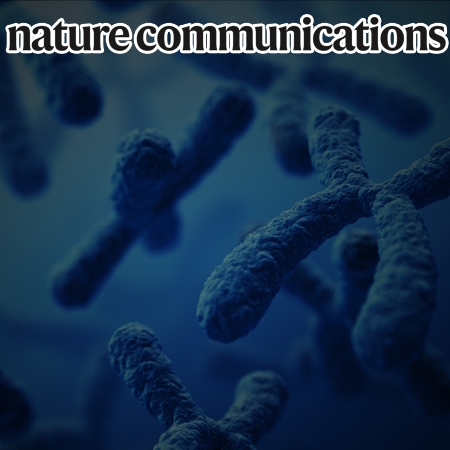 Telomeres reforged with non-telomeric sequences in mouse embryonic stem cells
