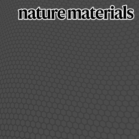 SNU have reported the formation of zero-twisted fully commensurate van der Waals structure