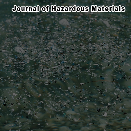 Polystyrene microplastics biodegradation by gut bacterial Enterobacter hormaechei from mealworms under anaerobic conditions: Anaerobic oxidation and depolymerization