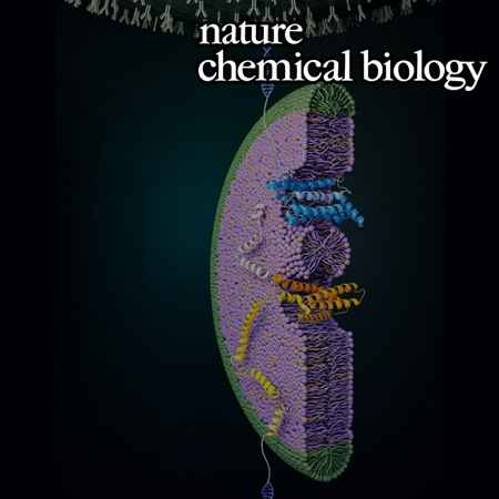 Evolutionary balance between foldability and functionality of a glucose transporter