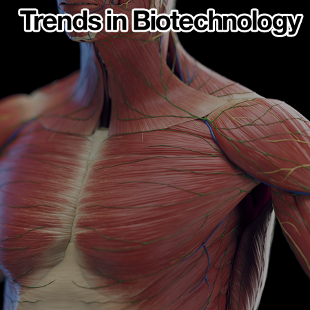 Engineering large-scale hiPSC-derived vessel-integrated muscle-like lattices for enhanced volumetric muscle regeneration