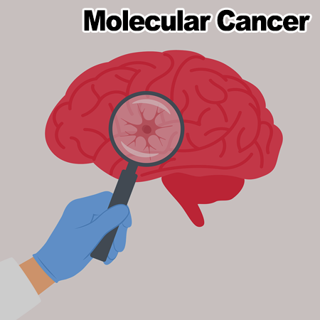 Distant origin of glioblastoma recurrence: neural stem cells in the subventricular zone serve as a source of tumor reconstruction after primary resection