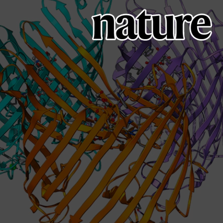 Proposing New Evolutionary Connections from 214 Million Predicted Protein Structure Database