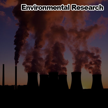Machine learning based estimation of urban on-road CO2 concentration in Seoul