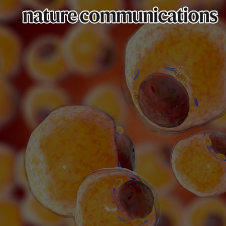Adipocyte HIF2α functions as a thermostat via PKA Cα regulation in beige adipocytes