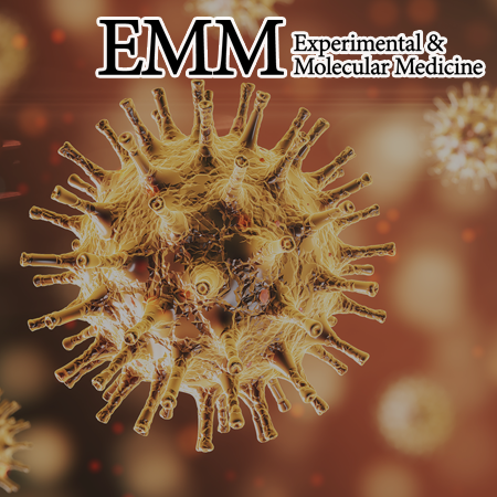 SARS-CoV-2 pseudovirus dysregulates hematopoiesis and induces inflammaging of hematopoietic stem and progenitor cells