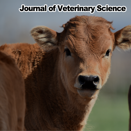 Identification of a new bovine picornavirus (<i><i>Boosepivirus</i></i>) in the Republic of Korea
