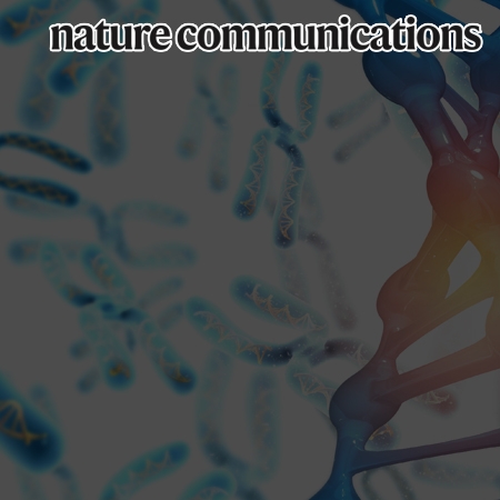 Dynamic interaction of BRCA2 with telomeric G-quadruplexes underlies telomere replication homeostasis