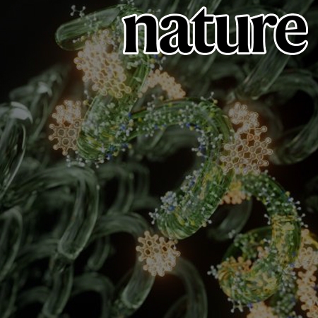 Helical polymers for dissymmetric circularly polarized light imaging