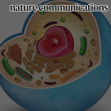 RNA-mediated demixing transition of low-density condensates