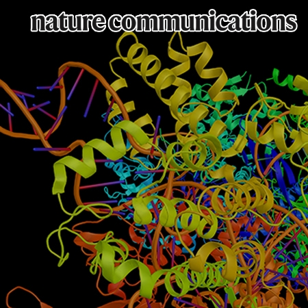 Photoactivatable ribonucleosides mark base-specific RNA-binding sites