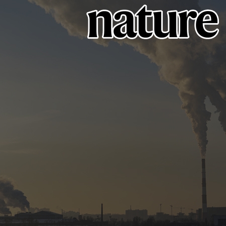The size of the land carbon sink in China