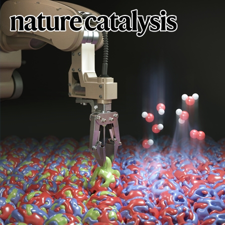 Redirecting dynamic surface restructuring of a layered transition metal oxide catalyst for superior water oxidation