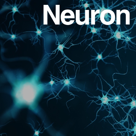 Synaptic correlates of associative fear memory in the lateral amygdala