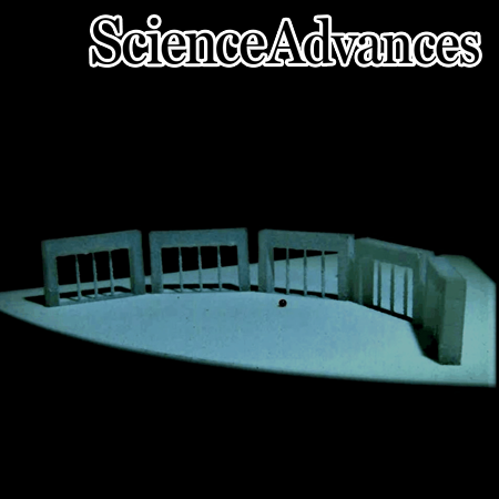 A Joint Research Team Led by SNU Professors Ho-Young Kim and Jeong-Yun Sun and GU Professor Keunhwan Park Develops a Liquid Robot Capable of Transforming, Splitting, and Merging Like Living Cell