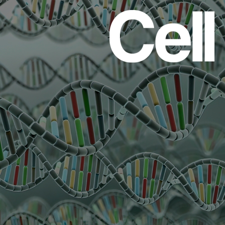 Functional viromic screens uncover regulatory RNA elements