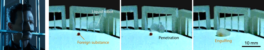 ▲ Figure 1. (From left) A scene from the movie Terminator 2 where the liquid robot passes through metal bars, and an image showing the developed liquid robot penetrating a pillar array and capturing foreign substances.
