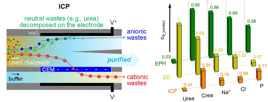 ▲ Figure 2. (Left) Waste removal mechanism of ion concentration polarization dialysis (Right) Dialysis fluid purification through ion concentration polarization