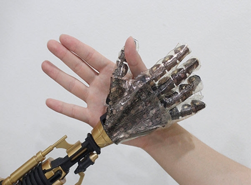 Professor KIM Dae-Hyeoung Invented Artificial