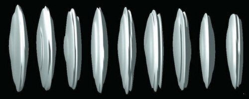 3D image of the cavity vacuum-field intensity